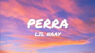 Thumbnail: LIL NAAY - PERRA (Lyrics) 