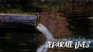 Thumbnail: Stephen Bishop - Separate Lives (Lyrics)