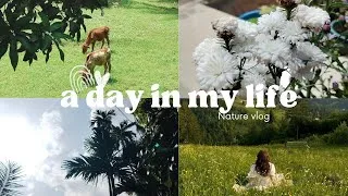 Thumbnail: ⊱❀⊰  Daily Vlog  ⊱❀⊰ | 𝙺𝚎𝚛𝚊𝚕𝚊/𝙵𝚘𝚘𝚍/𝙳𝚎𝚟𝚘𝚝𝚒𝚘𝚗 | #fyp #youtube #dailyvlog #keralavlog 
