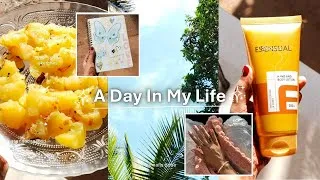 Thumbnail: Sunlight on leaves,warmth on the plate,peace in me🌿🥘 | Daily Vlog | #youtube #explore #vlog 