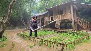 Thumbnail: A single mother struggling alone against the floods.