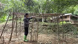 Thumbnail: Ly Thanh Tam harvests bamboo shoots to sell and makes trellises for gourds.