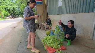 Thumbnail: A single mother harvests papaya flowers to sell and grows mung beans.