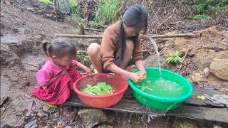 Thumbnail: A single mother harvests vegetables and cooks in the countryside