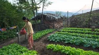 Thumbnail: Ly Thi Ana – A Peaceful Day Cleaning, Laundry & Forest Mushroom Meal