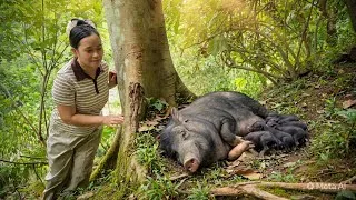 Thumbnail: Welcoming the Newborn Piglets | Preparing Delicious, Nutritious Feed For the Mother Pig | Lý Thị Ca