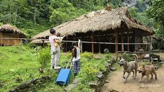 Thumbnail: Returning - Tidy Up The Farm - Care For The Animals With My Two Daughters |  Lý Thị Ca