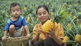 Thumbnail: Faith's smile shone brightly as she and her mother picked ripe, golden pineapples.