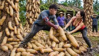 Thumbnail: Harvesting Giant Coconut Worms to Sell at the Market ❗ A Rare Tropical Delicacy