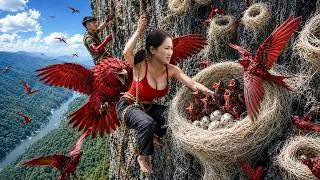 Thumbnail: Harvesting Rare Bird’s Nests on a Giant Cliff ❗ Stewing Bird’s Nest with Honey for Sale