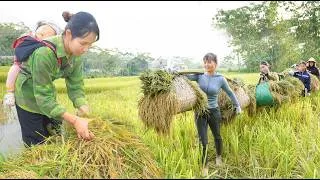 Thumbnail: Single Mother Start New Life with Her Little Daughter - Try, Determined to Make Money to Change Life