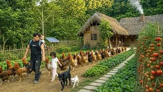 Thumbnail: Taking chickens to market after a year & Building a water storage tank