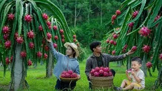 Thumbnail: Getting Lost in a Giant Dragon Fruit Garden – A Day Filled with Laughter for the Whole Family