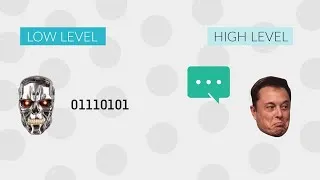 Thumbnail: LOW level VS HIGH level programming languages | What's the difference?