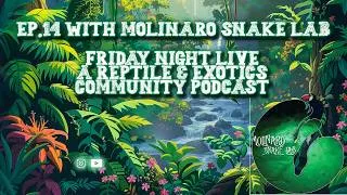 Thumbnail: Ep.14: FNL(ish) - Keary Molinaro, "Molinaro Snake LaB
