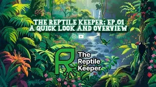 Thumbnail: The Reptile Keeper Ep.01 - A first look and overview