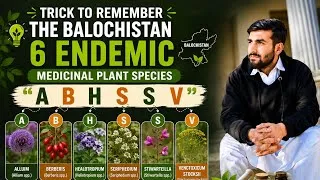 Thumbnail: 6 Endemic Medicinal Plants of Balochistan | Easy Memory Trick | Pharmacognosy