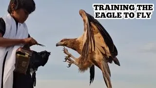 Thumbnail: flock of eagles flying close