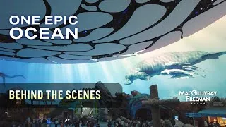 Thumbnail: One Epic Ocean for SeaWorld Abu Dhabi – Behind the Scenes