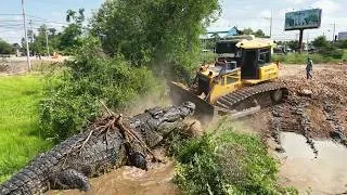 Thumbnail: EPIC TUG OF WAR!! SHANTUI Bulldozer vs Crocodile  Challenges a Powerful Bulldozer! During Forest Lan