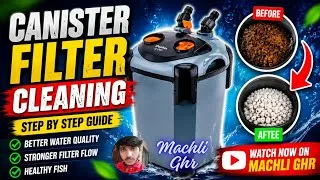 Thumbnail: Aquarium Canister Filter Cleaning Tutorial | Don't Make These Cleaning Mistakes! #aquariumcare