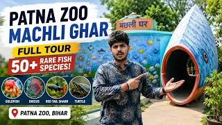 Thumbnail: REUPLOAD: Patna Zoo Machli Ghar Tour 🐠 | Rare & Exotic Fishes in Patna Zoo Aquarium | #patnazoo