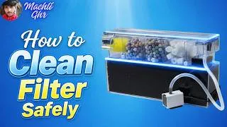 Thumbnail: How to Clean Sobo AQ-16H Filter Properly | Improve Aquarium Water Quality #soboaq16h #sobo