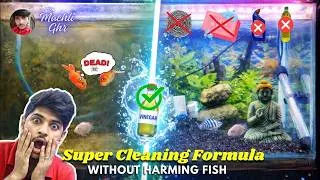 Thumbnail: एक्वेरियम की सफाई कैसे करें || अपने एक्वेरियम को क्रिस्टल क्लियर कैसे करें || नया VLOG #machlighr