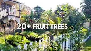 Thumbnail: Our Suburban Fruit Tree Tour | What We're Growing So Far