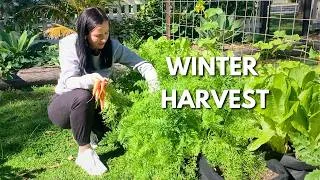 Thumbnail: Finding Gratitude in Our Winter Garden