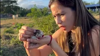 Thumbnail: Nakapulot kami ng Kuting sa gitna ng kalsada