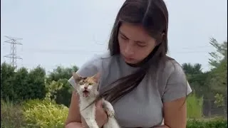 Thumbnail: Nakapulot kami ng pusa sa gitna ng kalsada