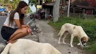 Thumbnail: Nagpakain kami ng isang aso tapos bigla silang dumami