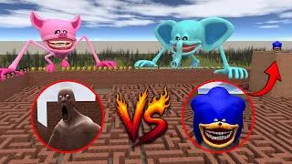 Thumbnail: GMOD: Roblox Pinki Smiley vs SCP-096 vs SPRUNKI TAPES vs Shin Sonic & Other in Maze Sandbox