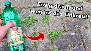 Thumbnail: Wie du mit Essig Unkraut mühelos und schnell entfernen kannst!