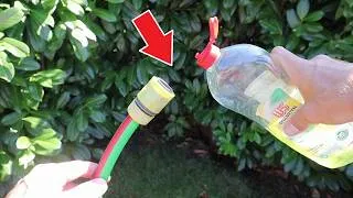 Thumbnail: Warum du JETZT Spülmittel in deinen Gartenschlauch füllen solltest!