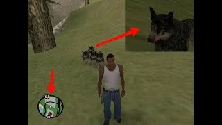 Thumbnail: Secret wolves location in GTA San Andreas(Hidden Place)