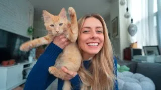 Thumbnail: I Adopted a Kitten | My Favorite Cat Supplies Haul