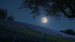 Thumbnail: peace for heavy nights..