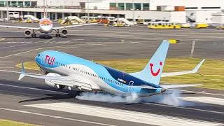 Thumbnail: RATE THIS TUI Boeing 737 MAX 8 LANDING at Madeira Airport