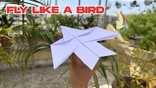 Thumbnail: How to make a paper plane that fly like a bird