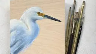 Thumbnail: Oil Painting Time Lapse || Snowy Egret