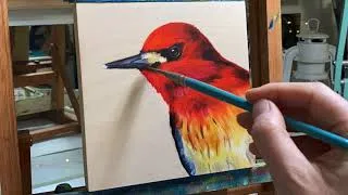 Thumbnail: Oil Painting Time Lapse || Red-Breasted Sapsucker