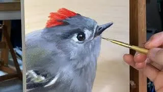 Thumbnail: Oil Painting Demonstration: Ruby-Crowned Kinglet