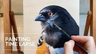 Thumbnail: Oil Painting Demonstration: Spotted Towhee