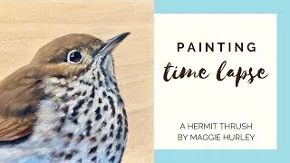 Thumbnail: Oil Painting Time Lapse || Hermit Thrush
