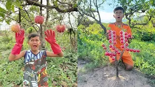 Thumbnail: Survival Skills: SMART idea and USEFUL in the forest #bushcraft #outdoors #camping #survival #useful