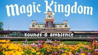 Thumbnail: Magic Kingdom Entrance Music & Ambience | Relax, Study, Sleep | 4K