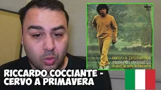 Thumbnail: British Reaction to Riccardo Cocciante - CERVO A PRIMAVERA (Italian Music)
