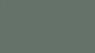 Thumbnail: This Color Will Change Your Aesthetic Forever 😮 | #65706C
